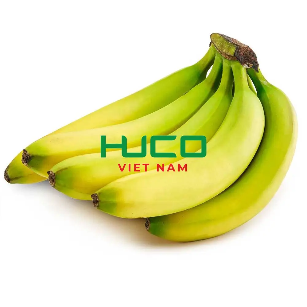 Best selling Fresh Banana from Vietnam Good Price
