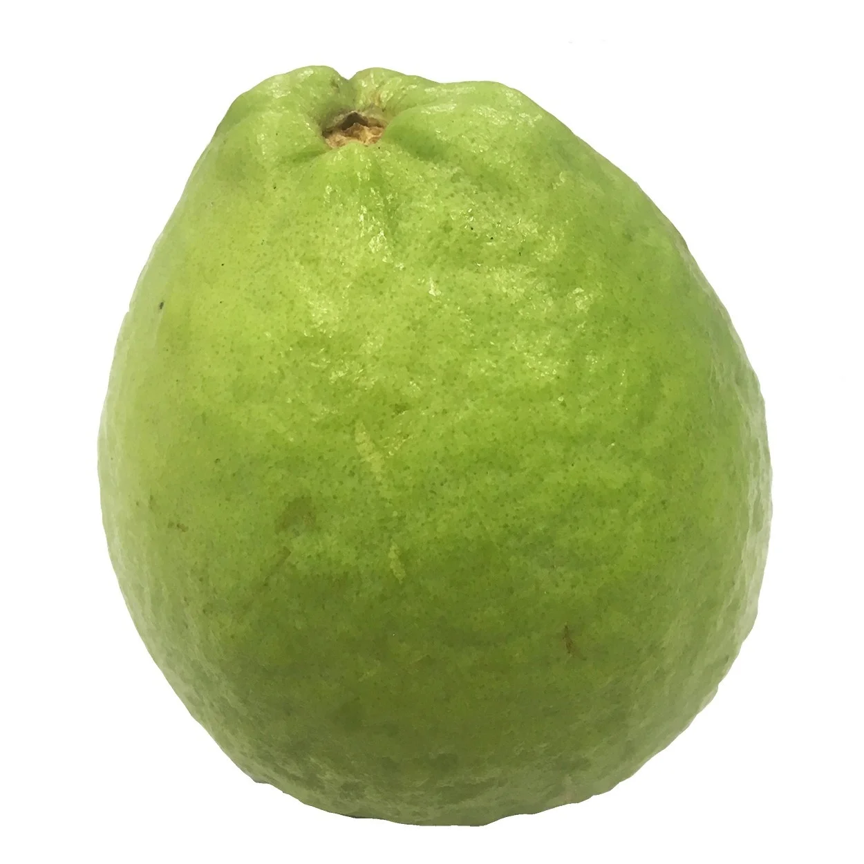 Sweet Fresh Guava Fruit High Quality Green Max Yellow Healthy and Organic from South Africa