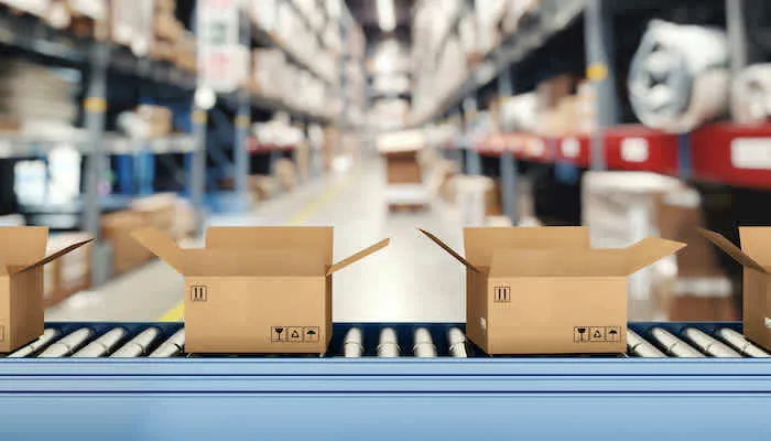 Organic Blanched Peanuts in Bulk Spicy Taste Natural Nut Snacks for Food Use Wholesale from Vietnam Packaged in Bags