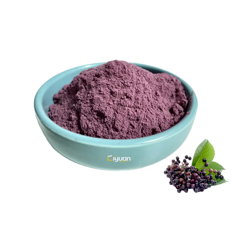 Ciyuan Factory Supply Bulk Price Immunity Enhancement Supplement Elderberry Extract Powder