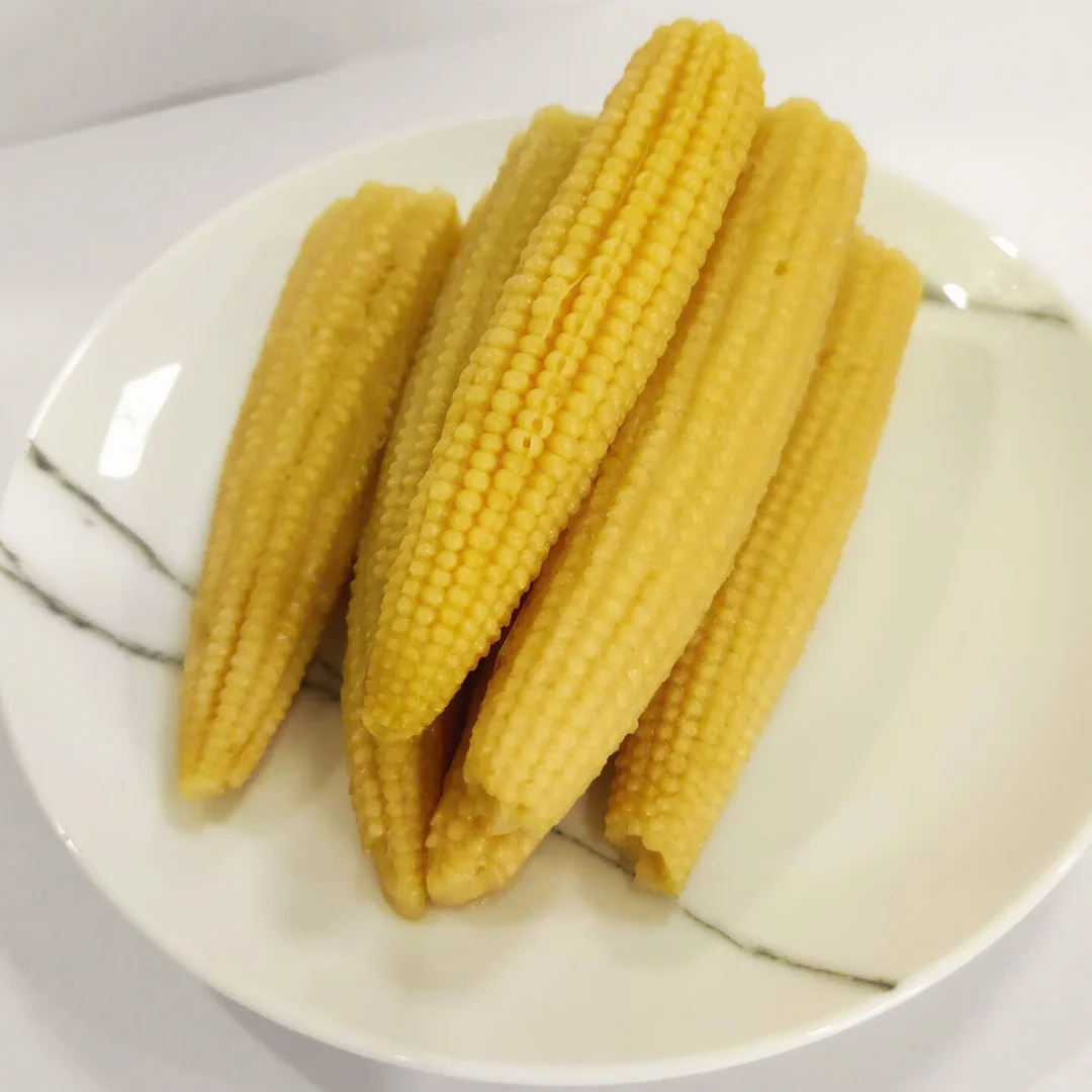 The premium Canned Whole Baby Corn/ baby corn in brine from Vietnam