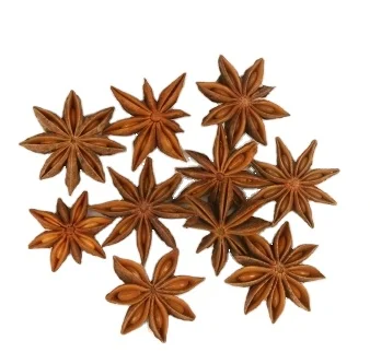 New Season Wholesale Factory Supplier Natural star anise For Seasoning Harmless Healthy made in Viet Nam