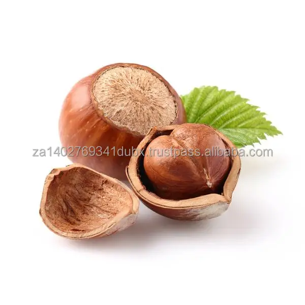 Hazelnut_600x.jpg