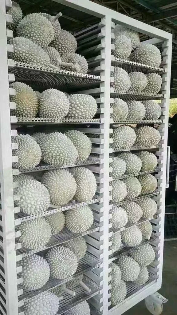 
Premium Nitrogen Frozen Durian Musang King (D197) Mao Shan Wang Malaysia (Whole Fruit) 