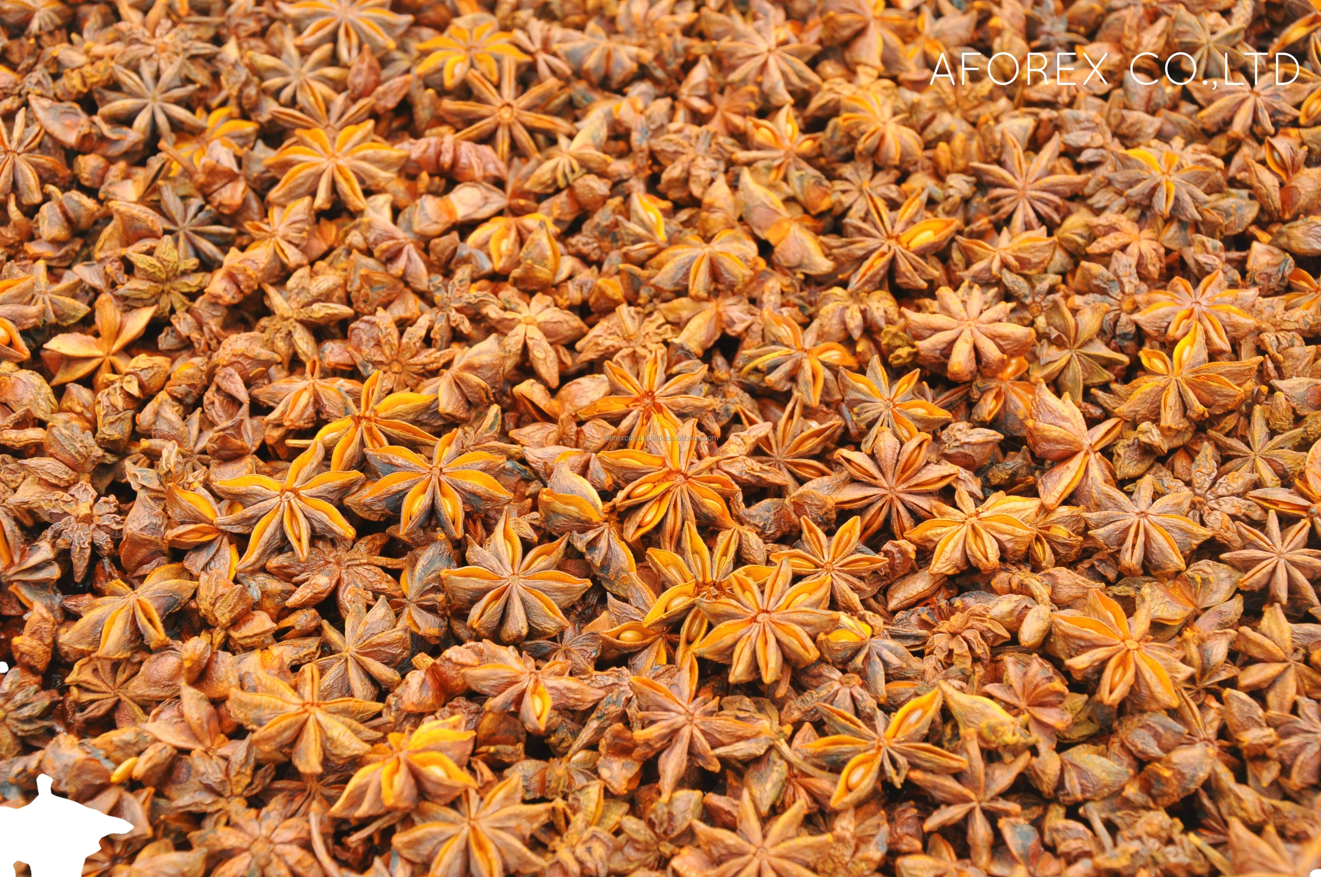Natural Brown Whole Star Anise Grade AA High Quality Autumn Crop rich oil content Manufacturer factory from Vietnam