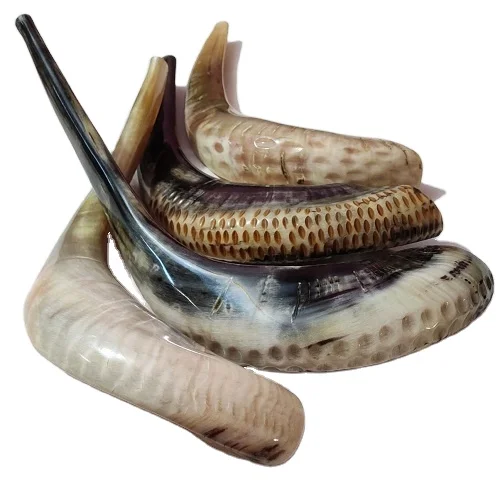 Редкий очень большой легкий натуральный гудок Shofar по подходящей
