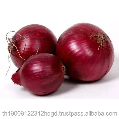 onions-500.jpg