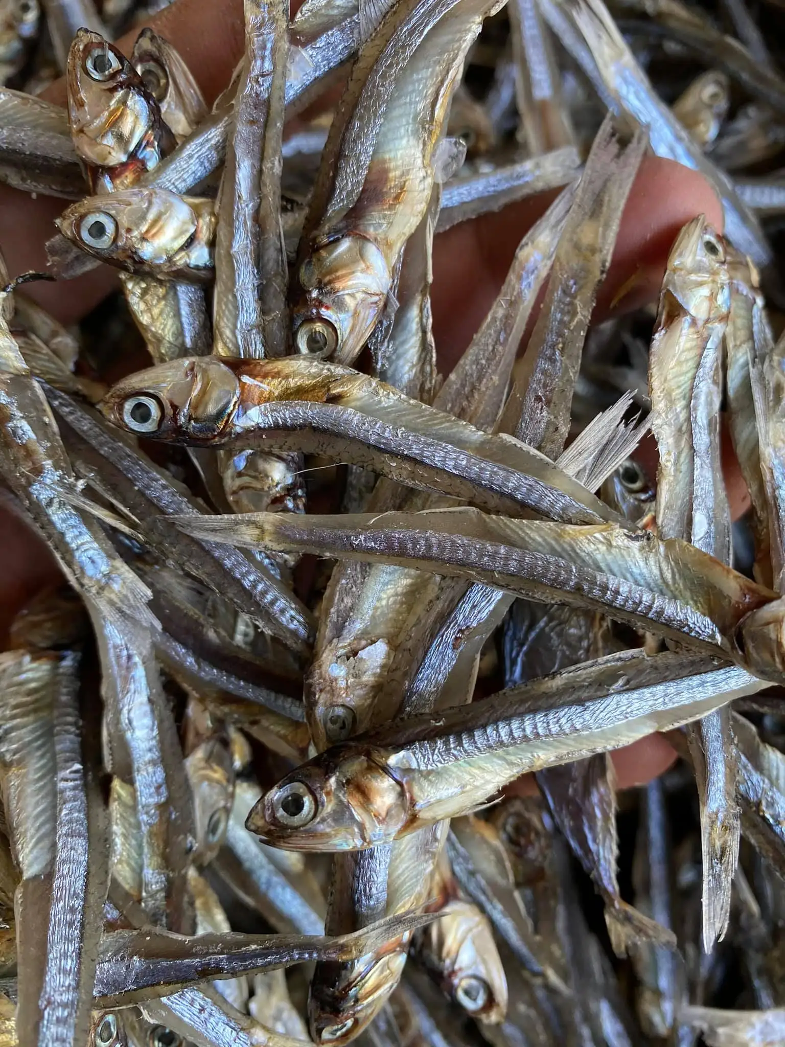 High Quality Bulk Seafood Wholesale Sun Dried Anchovy Fish with Head Fresh Style Preserved with Salt Good Price from Vietnam
