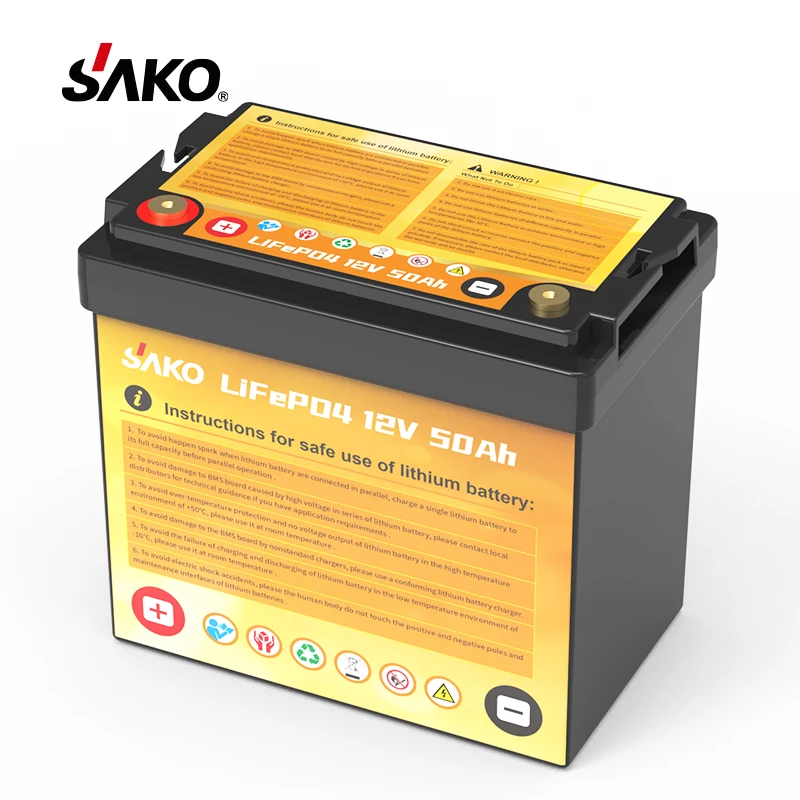 12V 24V LiFePO4 pack 50A 100A 200A  Lithium Battery Pack to Replace Lead Acid Battery Solar Storage Battery