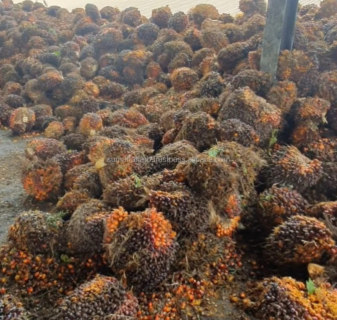 
High Quality Crude Palm Oil Origin Indonesia 