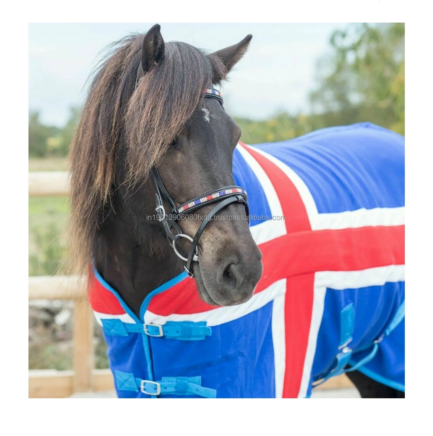 Icelandic Blanket Sell at a low price horse rugs black blue red Warm horse blanket horse cotton rug manufacturer from