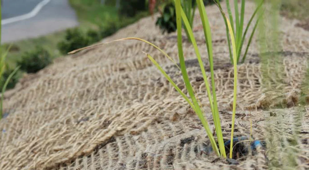 Hessain Fabric Roll or Bale Form or Square Sheet Jute Burlap 3 Oz 5 Oz 6 5 Oz 7 Oz 8 9 Oz 10 Oz Bag Plain Gsm Technics Item DOC