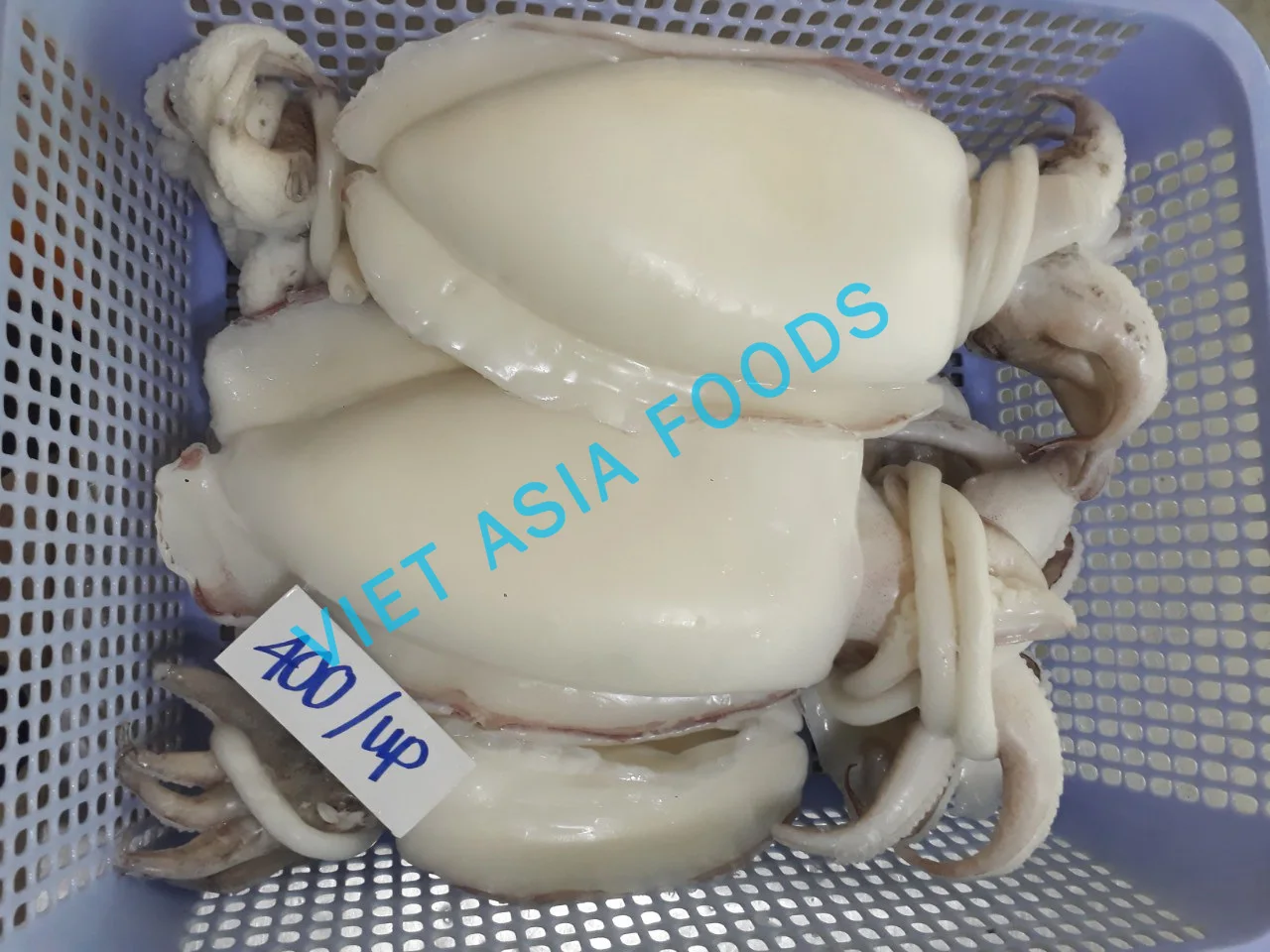 
Best Quality Frozen Cuttlefish from Vietnam 