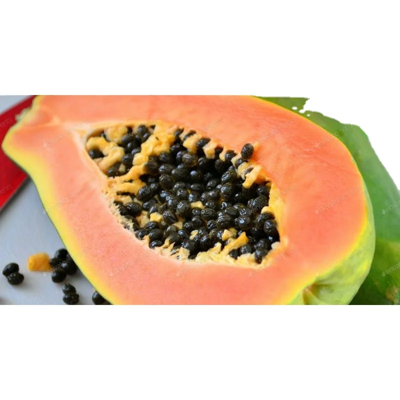 Красный Pawpaw red glory f1