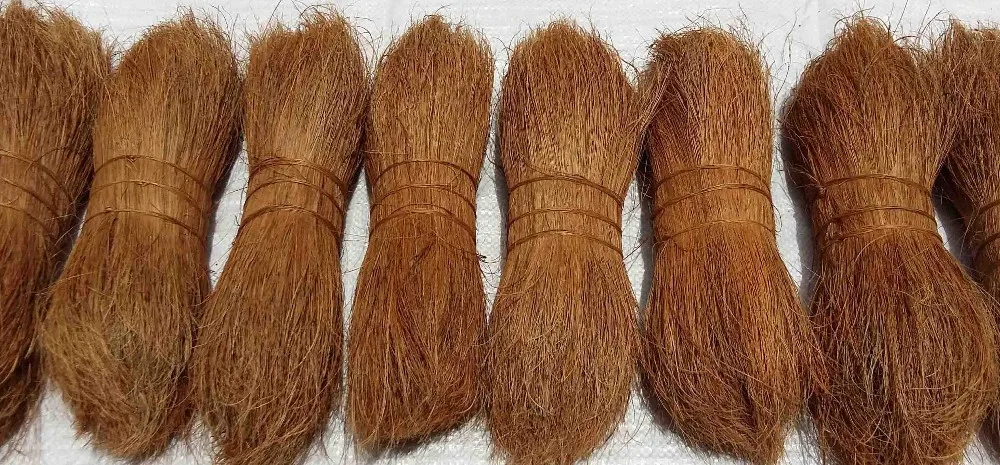 Bristle Fiber good quality for Sale   - Broom Industries - SITCO