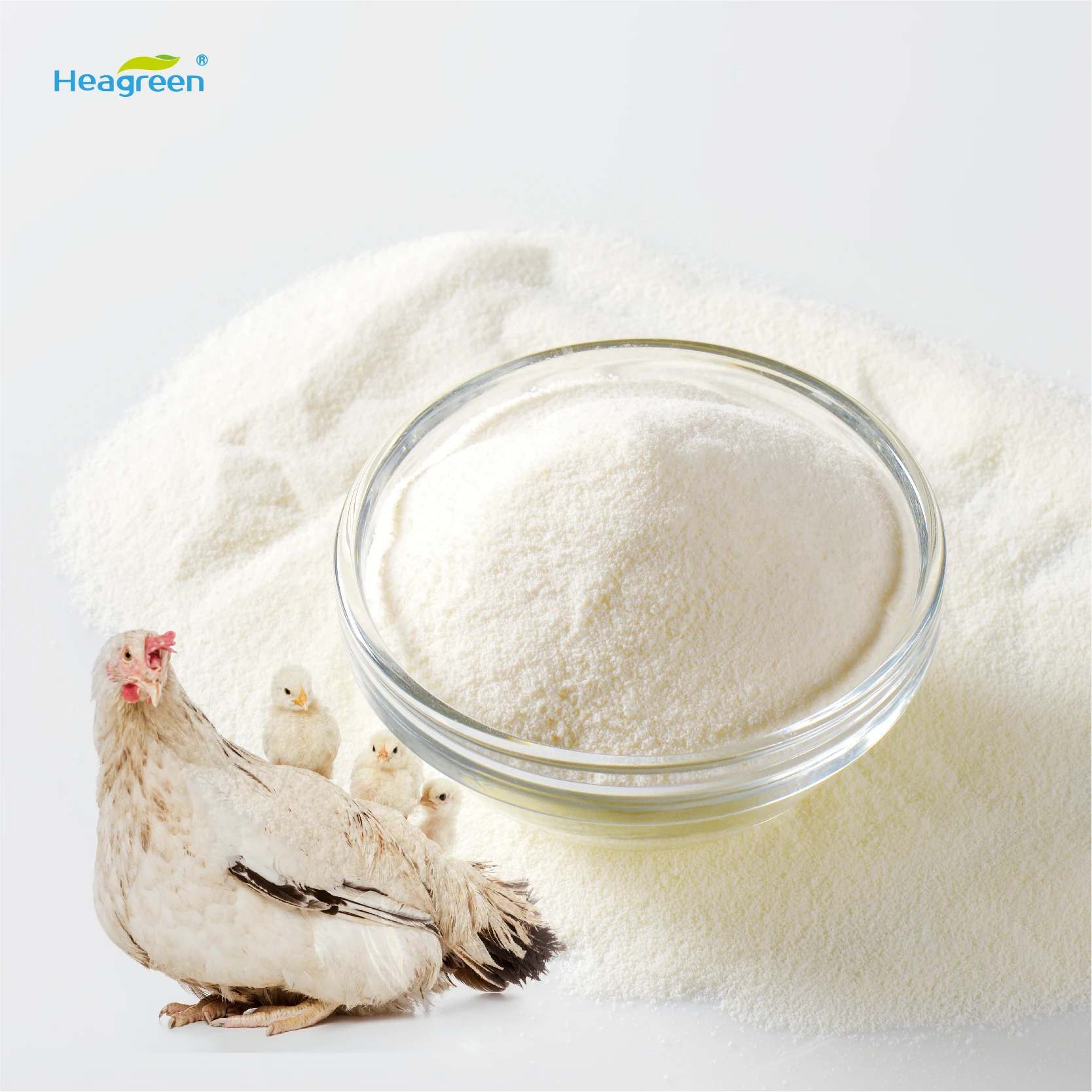 Laying hens feed additives weight gain poultry feed feeds direct manufactures xylooligosaccharides powder XOS