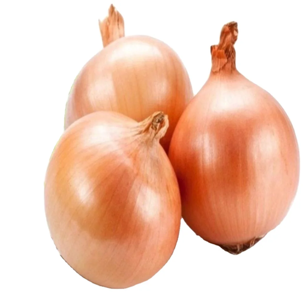 99% Purity for Onion Texas Grano  for Fresh Vegetables verity Red Creole
