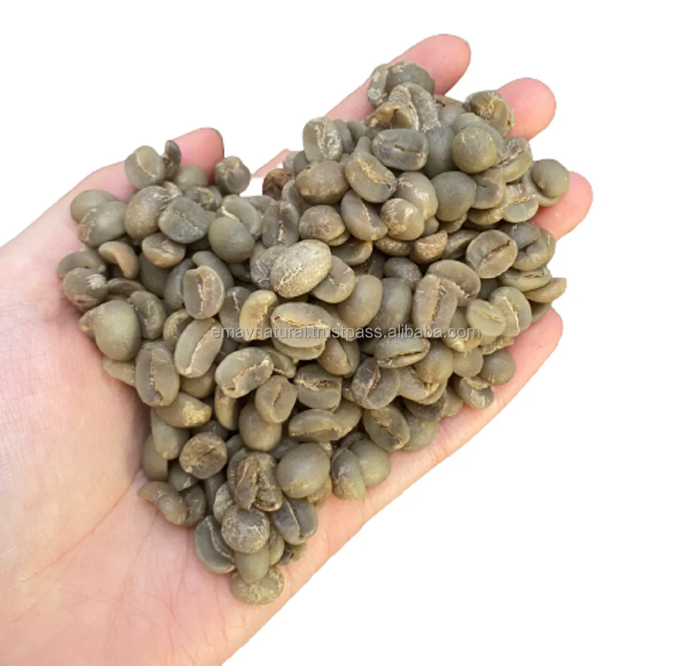 New Choice  Whole Bean Coffee Arabica -Full washed S18 Grade 1 For Sale