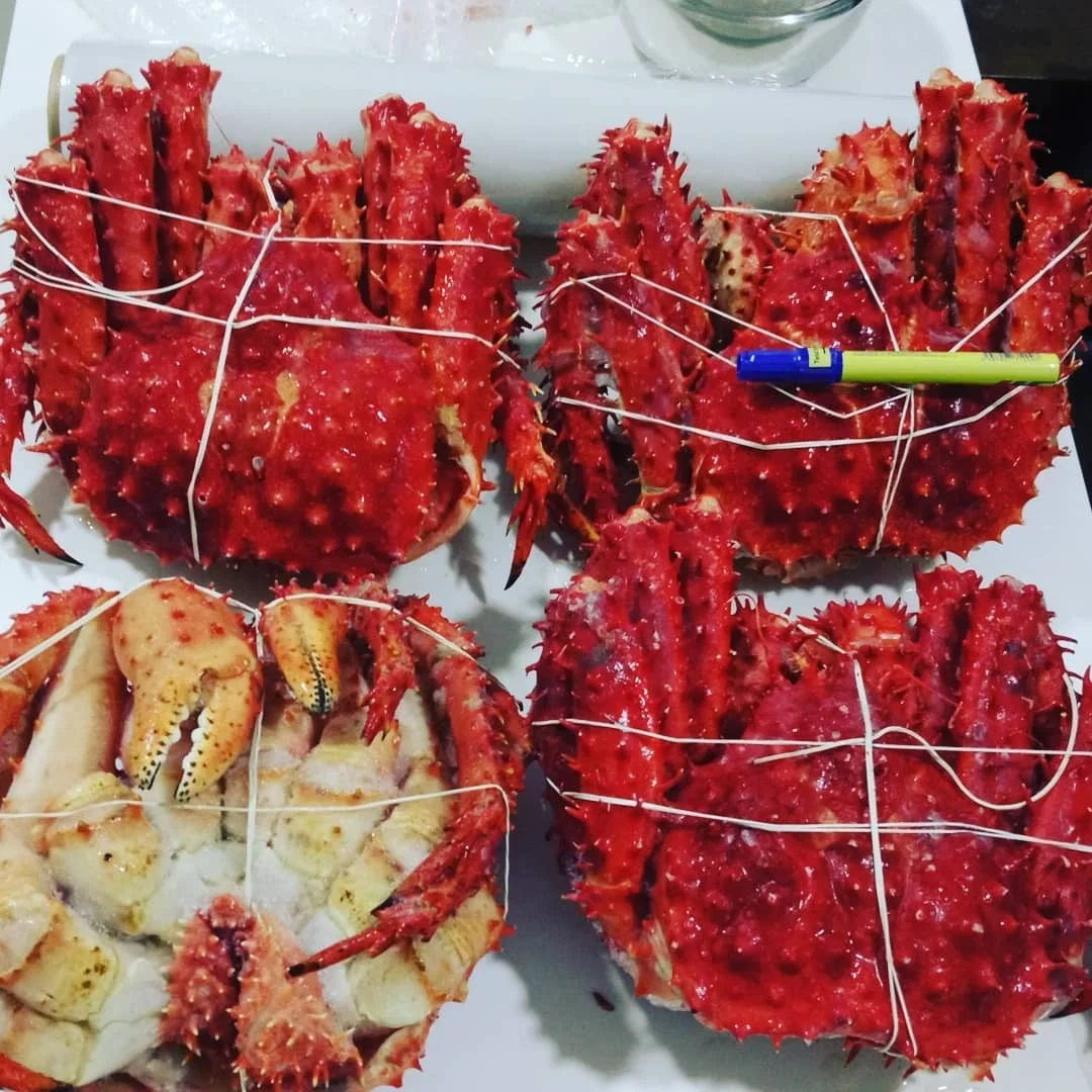 Live Canadian Red King Crabs