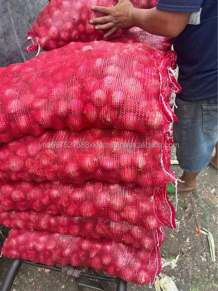 Vietnamese Export Quality Red Fresh Onions High-Grade Product in round Pattern Peeled Onions