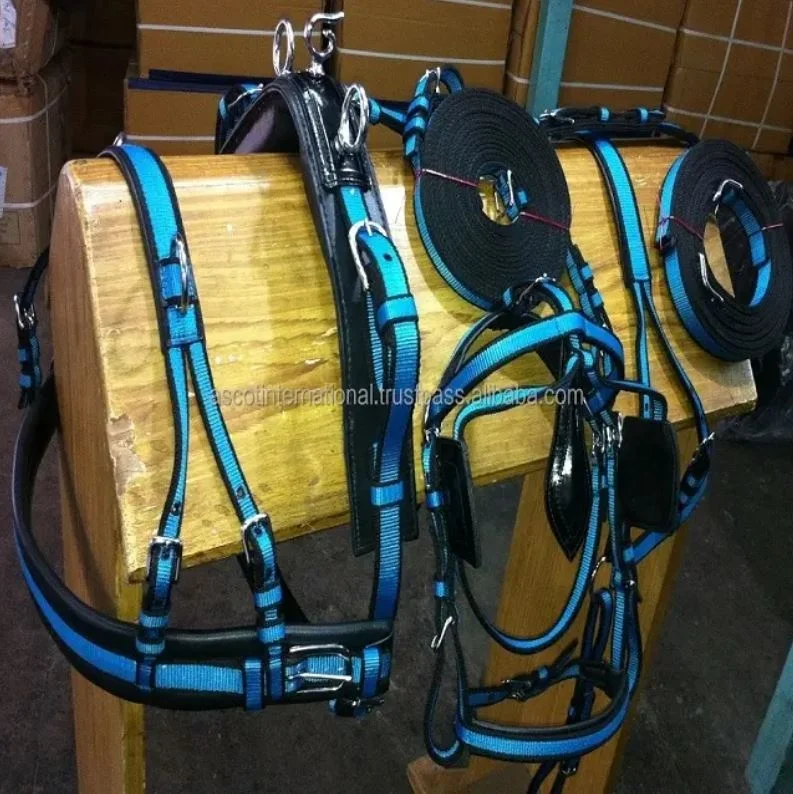 Wholesale premium polyester Horse racing Harness set durable with brass ss fittings top Indian supplier