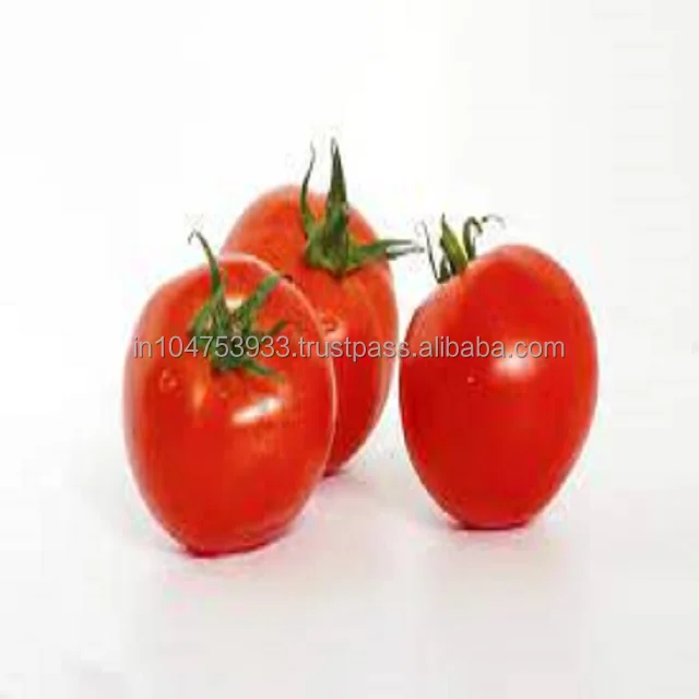 Tomato -Taste the depth of deliciousness.