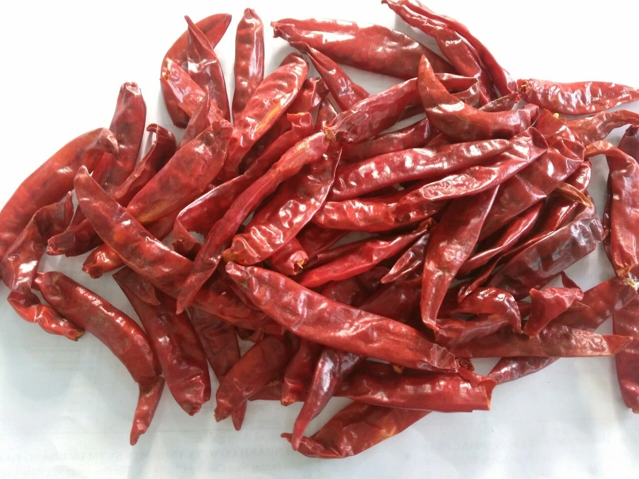 
Vietnam Seasoning Dried Whole Chilli Pepper With Reasonable Price 