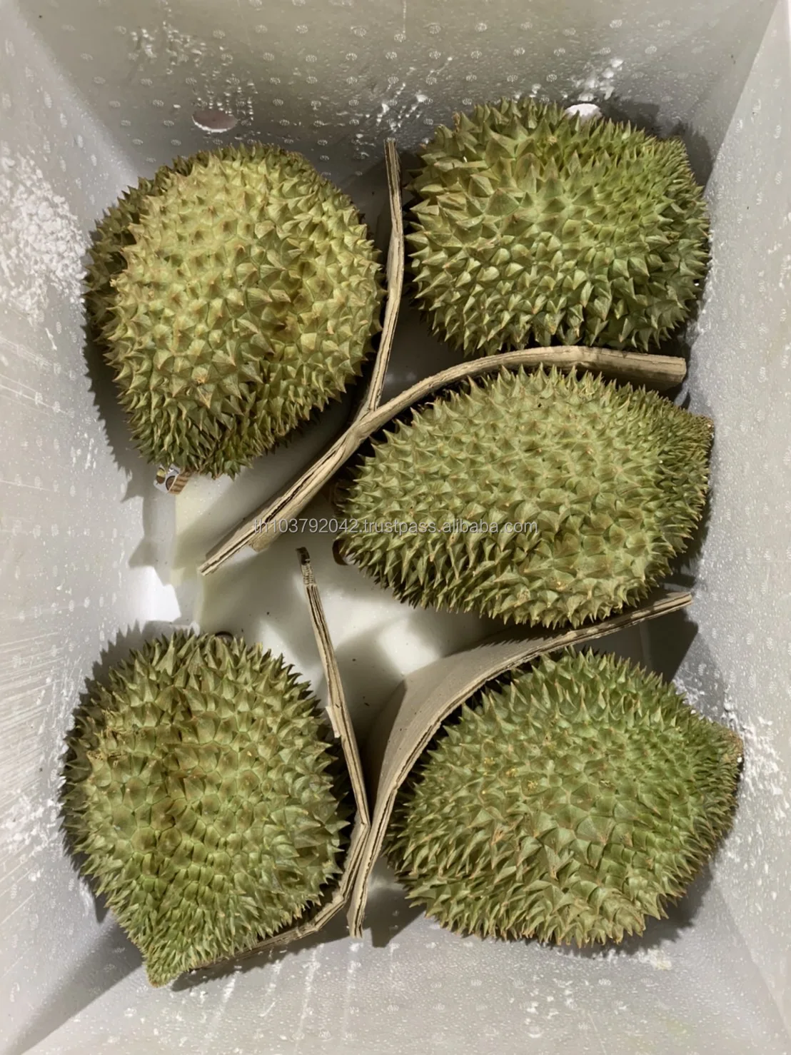 Premium Fruit  Fresh Durian From Thailand