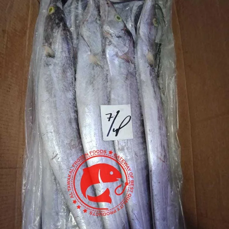 Frozen Ribbon Fish /Best Quality Frozen Seafood Exporter