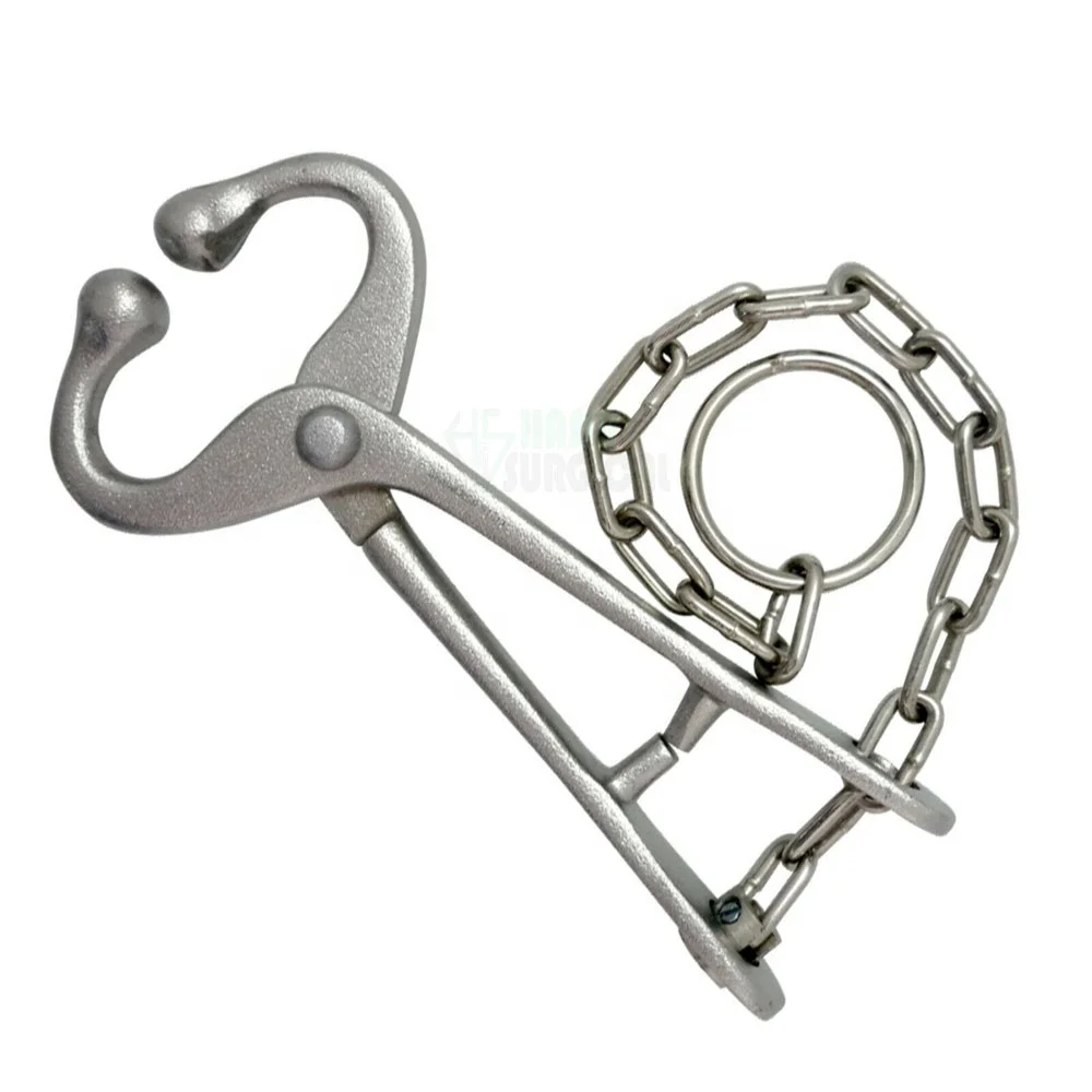 Bull Lead   stainless steel 7 5   Long with chain   13.5  Long   by hasni surgical