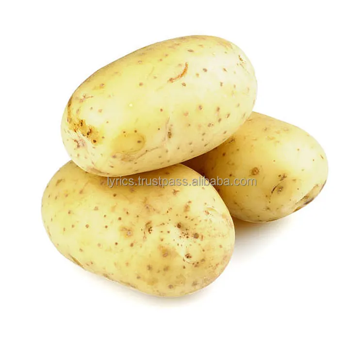 Hot Sale New Harvest 2022 Fresh Muzika Potatoes for Russia