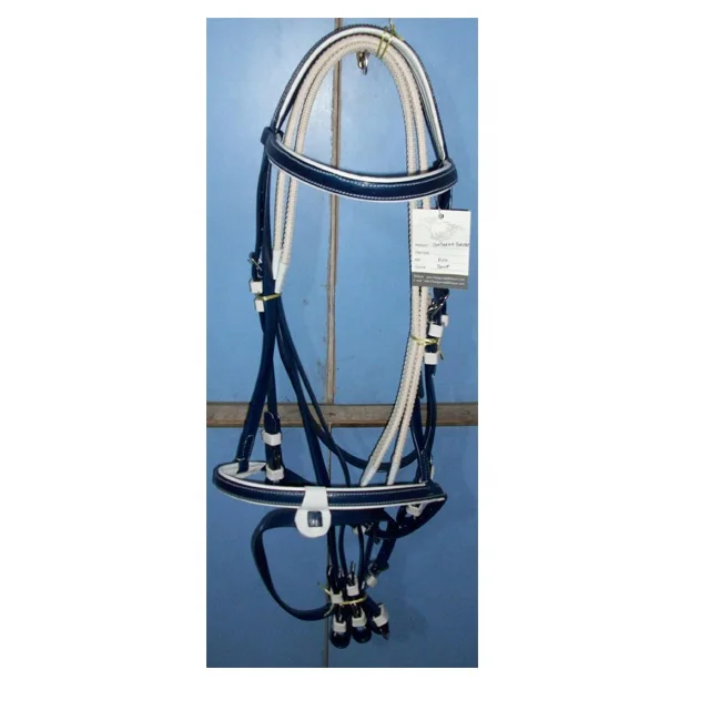 HORSE REIN & BRIDLE.