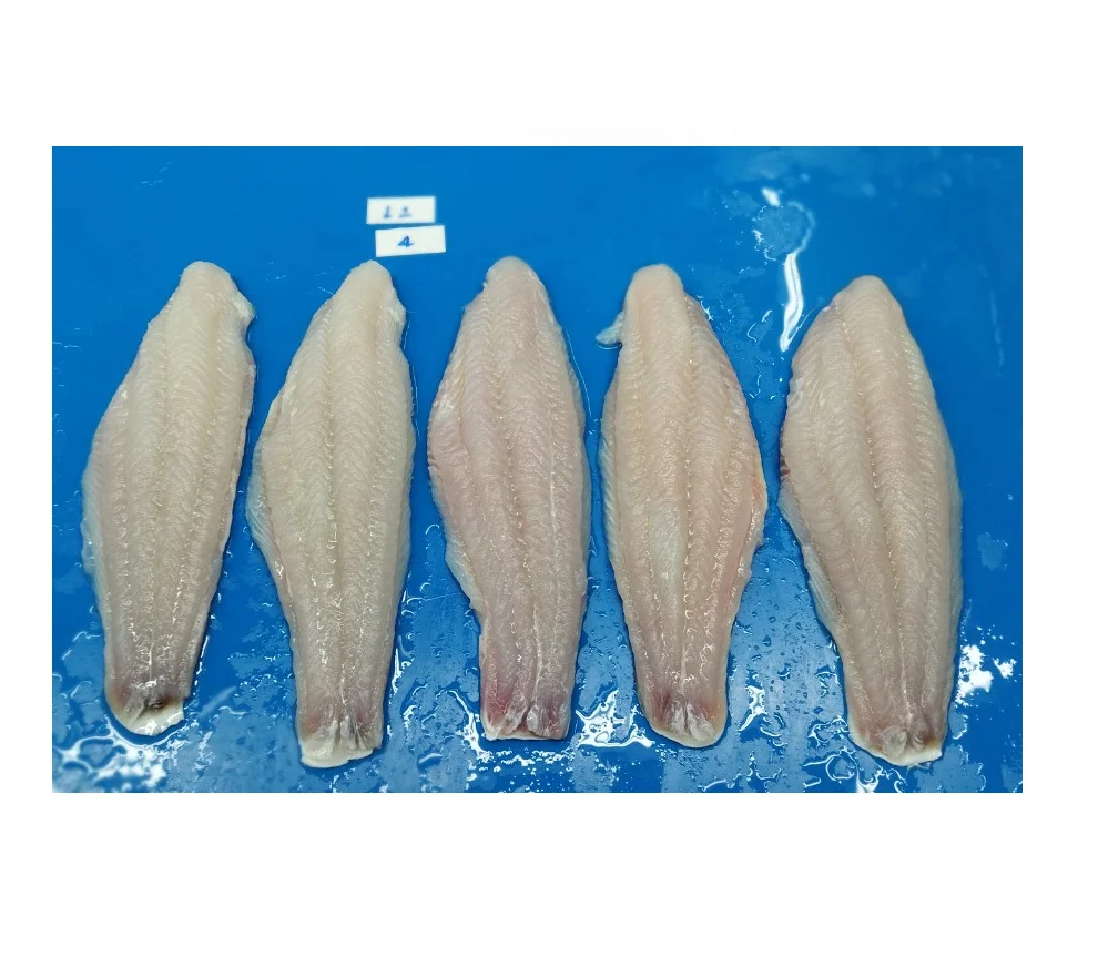 FROZEN PANGASIUS FISH FILLET  /BASA FISH FILLET SKIN ON FROM VIETNAM