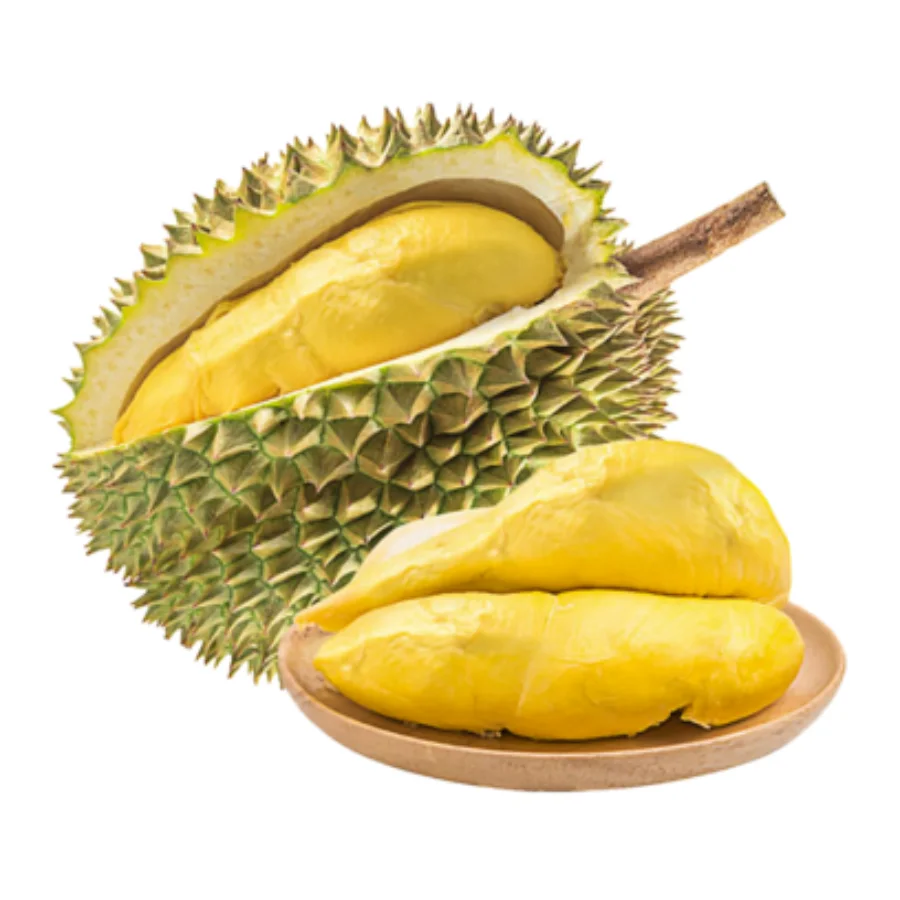 [New Product 2023] Fresh Durian Vietnam - New Arrival With High Quality Wholesale Best Price