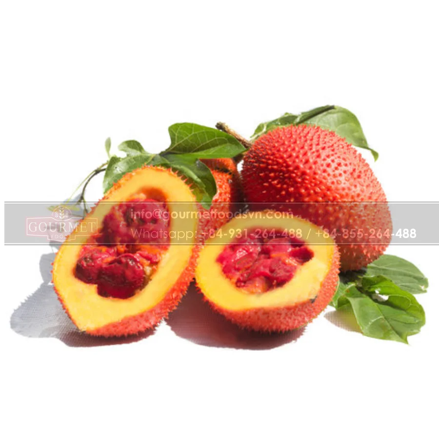 Fresh Gac Fruit From Viet Nam Help To Improve Human Vision As Well As Prevent Cataracts And Other Vision Problems