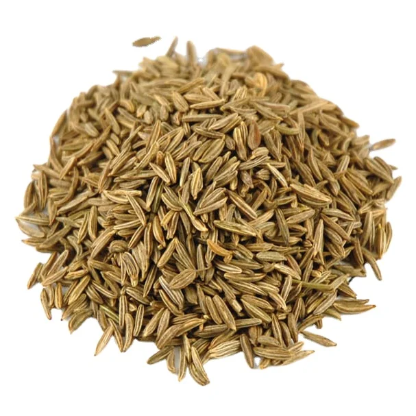 Egyptian Caraway Seeds  Wholesale High Purity Single Spices Herbs