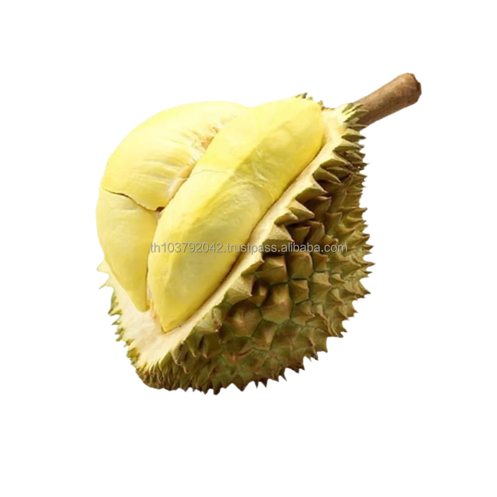Durian Fresh Fruits Premium From Thailand Fresh Durian Export to New Zealand