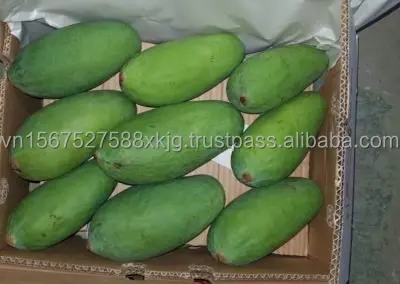 [HOT] High quality fresh Cat chu mangoes fresh fruit natural export from reputable manufacturers in Vietnam