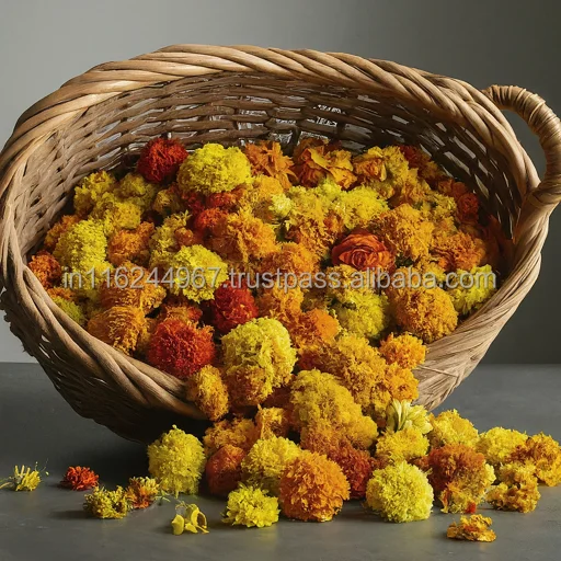 Most Selling Ornamental Plants Artisan Dried Marigold Flower Collection Available at Wholesale Price from India