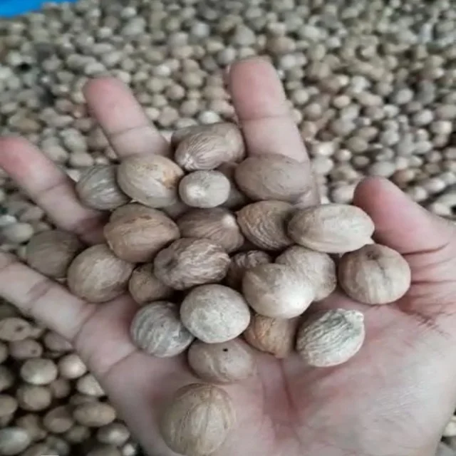 Best Product Spice Nutmegs AB Origin Indonesia Export Standard