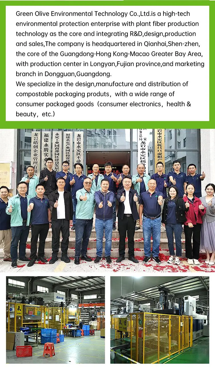 Disposable Sugarcane Bagasse Molding Pulp Mushroom Packaging Trays,Sugarcane Pulp Mold Square Mushroom Fruit Vegetable Tray