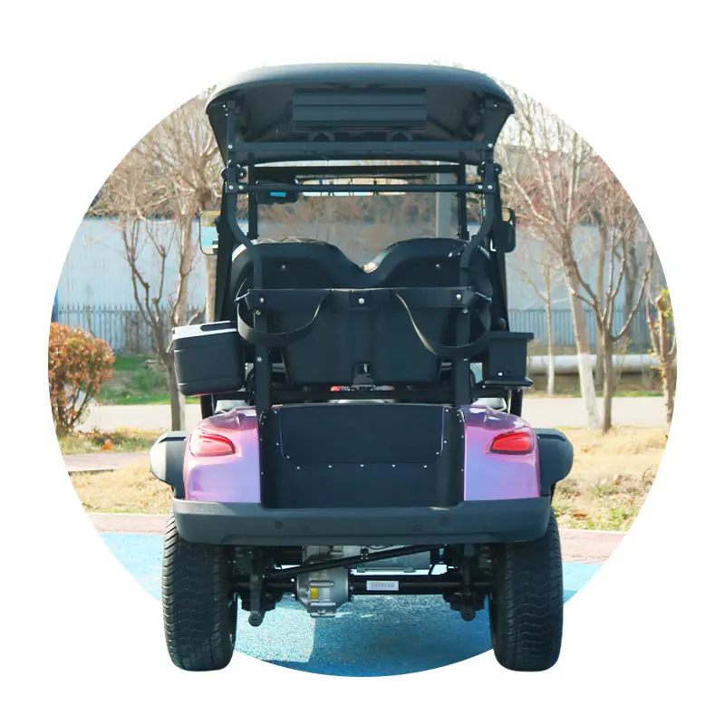 Golf Cart With Curtis Controller 2 Seater Electric Lithium Battery Golf Cart Off-Road Golf Carts