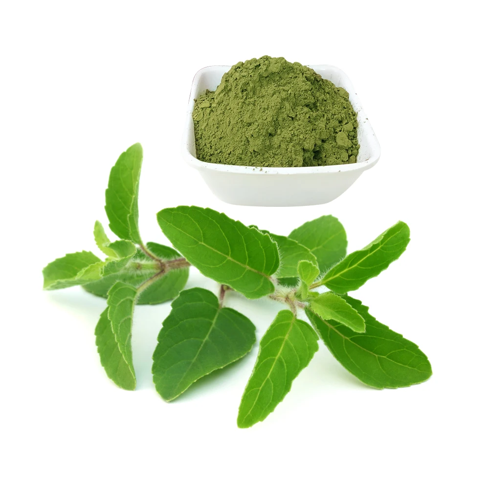 Best Quality Tulsi Leaves Powder For Hair Treatment 100 Gram Packing Custom OEM Private Labelling Available