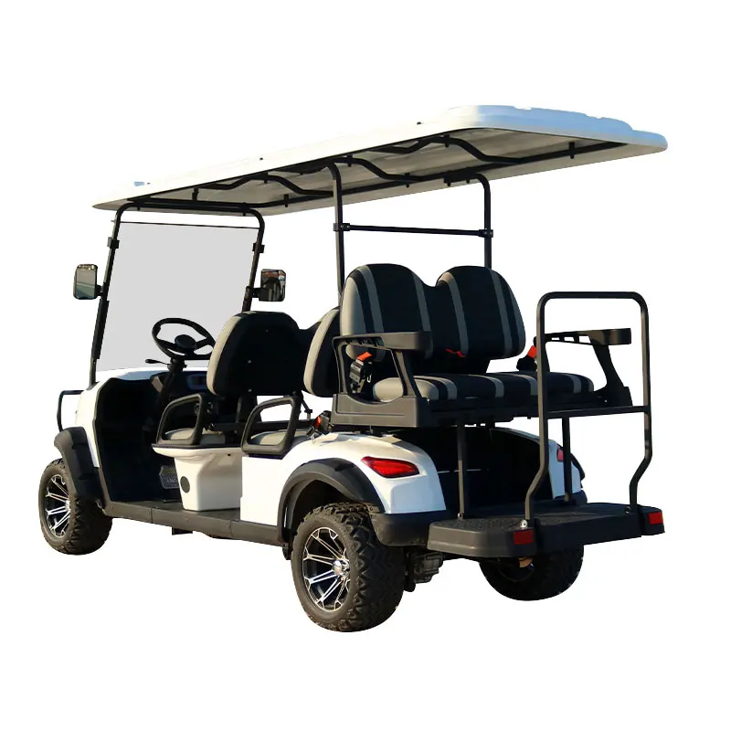 48V/72V New Design with Curtis Controller Electric Golf Cart 5kw ODM Service for Exclusive Brand Agent
