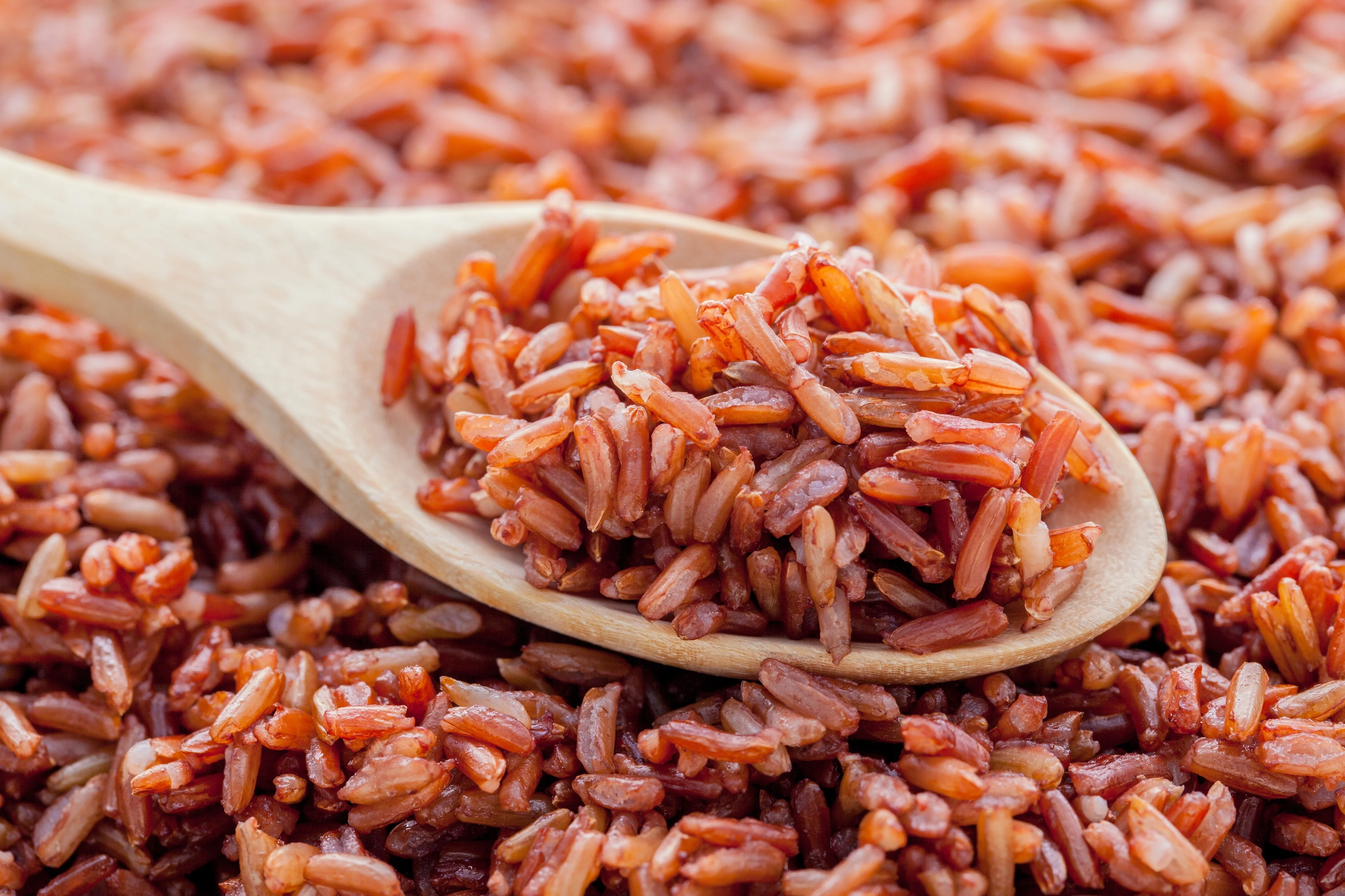 Best Grade Red Jasmine Brown Rice 2lbs Fresh Organic Premium Quality from Thailand Manufactures for 100% Export Ready to ship