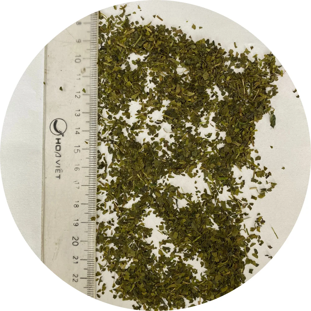 Fresh and Healthy green weight loss green tea for making herbal and organic tea bags at wholesale price