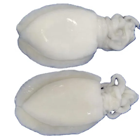 CUTTLEFISH WHOLE CLEANED