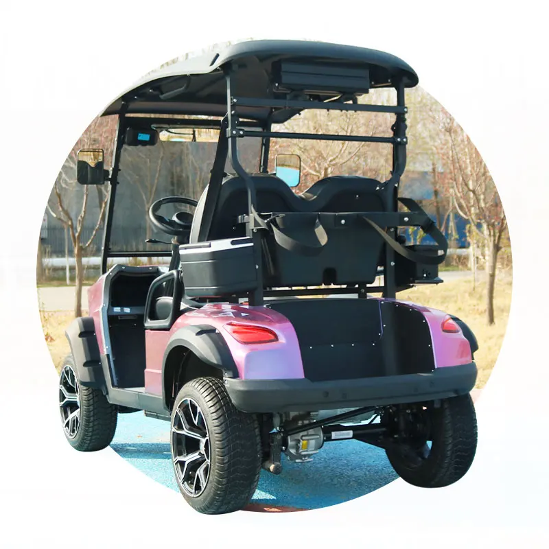 Golf Cart With Curtis Controller 2 Seater Electric Lithium Battery Golf Cart Off-Road Golf Carts