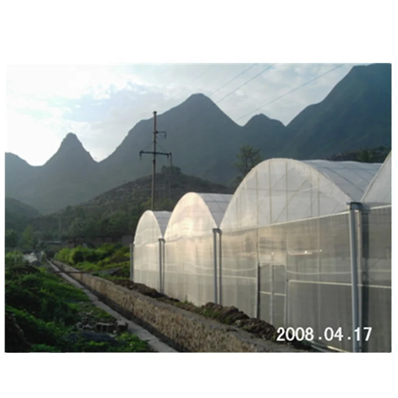 Plastic Film Greenhouse for Hydroponics Lettuce/Cucumber/Tomato/Cherry/Strawberry Growing