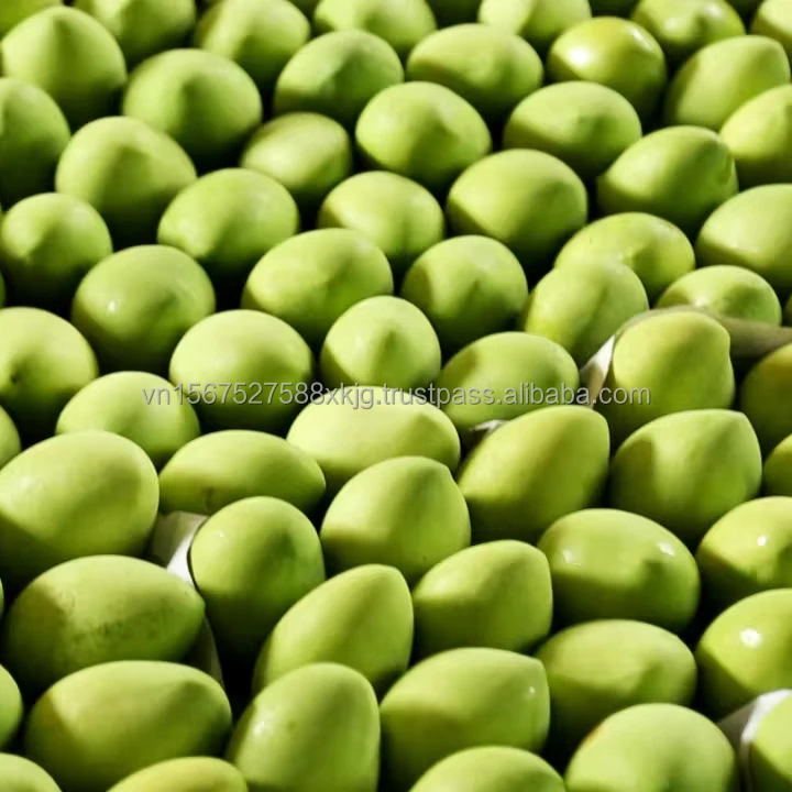 High quality fresh mangoes fruit exported from reputable manufacturers in Vietnam